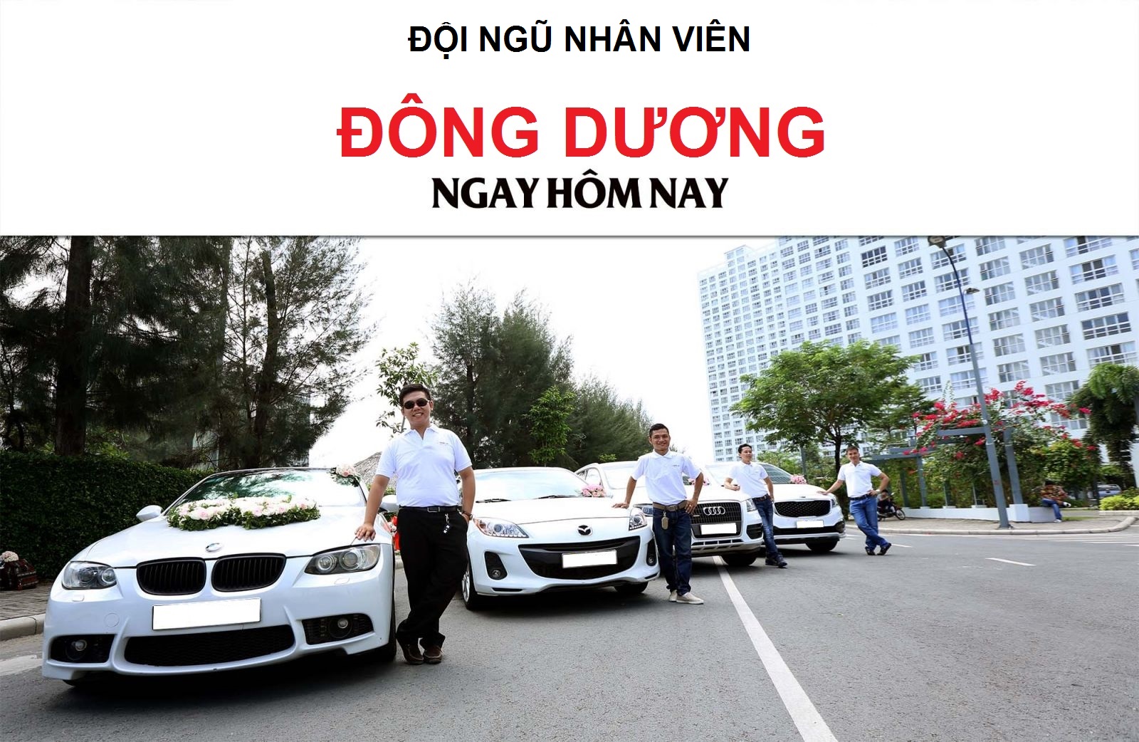 đội ngũ nhân viên đông dương