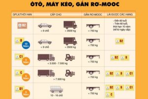 Các hạng giấy phép lái xe mới nhất